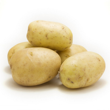 Nuevas verduras de la cosecha Patatas frescas
